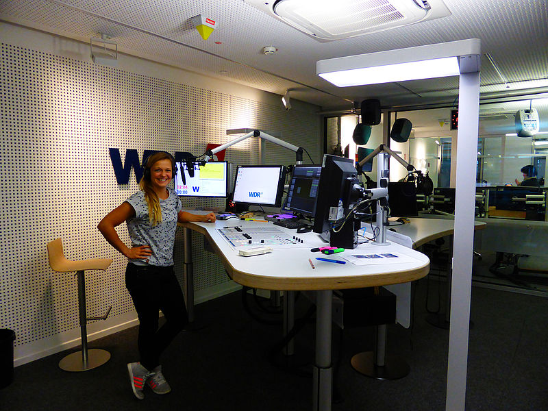 Online-Redakteur*innen in Medienunternehmen